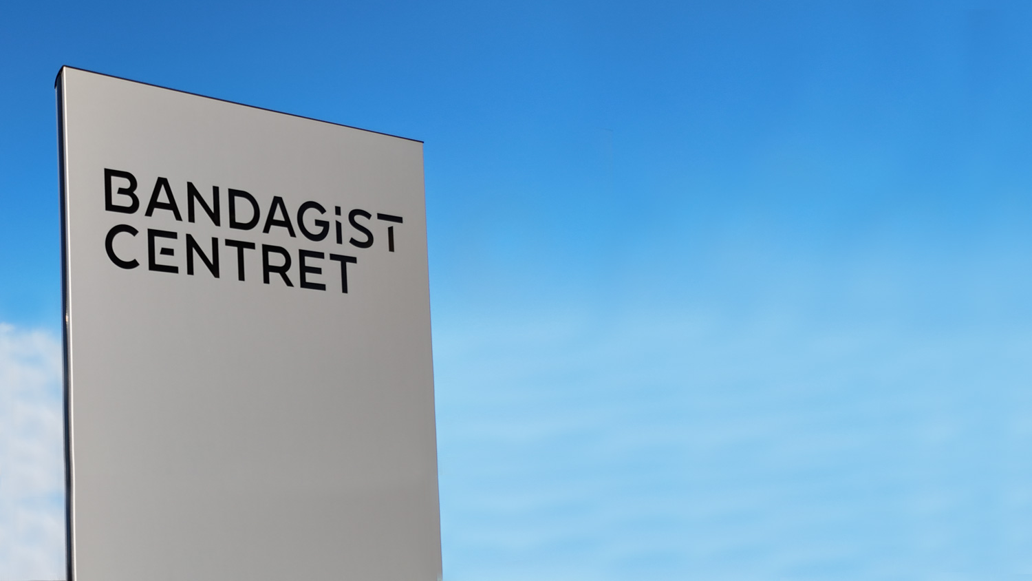 Stillingsopslag - controller/management PA